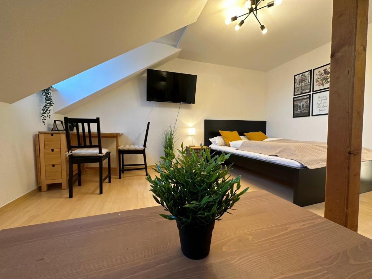 Gemuetliche, Charmante Ferienwohnung Naehe Zentrum Plauen Exteriör bild