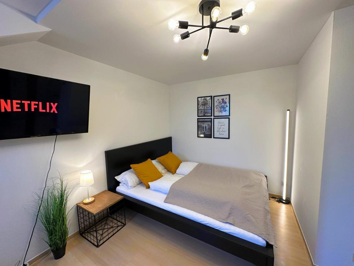 Gemuetliche, Charmante Ferienwohnung Naehe Zentrum Plauen Exteriör bild